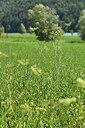 BUITEN BEELD Foto: 415065