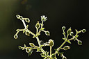 BUITEN BEELD Foto: 415080
