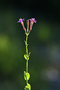 BUITEN BEELD Foto: 415084