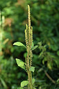 BUITEN BEELD Foto: 415094
