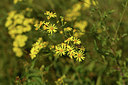 BUITEN BEELD Foto: 415109