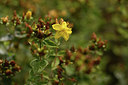 BUITEN BEELD Foto: 415124
