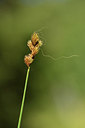 BUITEN BEELD Foto: 415130