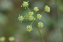 BUITEN BEELD Foto: 415155