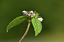 BUITEN BEELD Foto: 415159