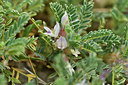 BUITEN BEELD Foto: 415177