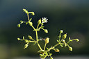 BUITEN BEELD Foto: 415182