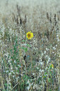 BUITEN BEELD Foto: 415189