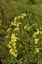 BUITEN BEELD Foto: 415218