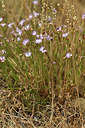 BUITEN BEELD Foto: 415258