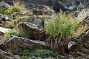 BUITEN BEELD Foto: 415313