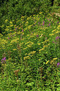 BUITEN BEELD Foto: 415329