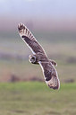 BUITEN BEELD Foto: 415352