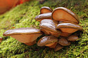 BUITEN BEELD Foto: 415399