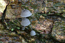 BUITEN BEELD Foto: 415404