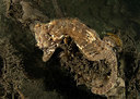 BUITEN BEELD Foto: 415461