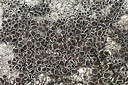 BUITEN BEELD Foto: 415668