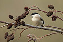 BUITEN BEELD Foto: 415742