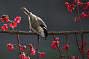 BUITEN BEELD Foto: 415770