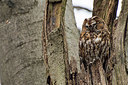 BUITEN BEELD Foto: 415883