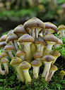 BUITEN BEELD Foto: 415926