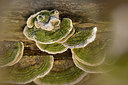 BUITEN BEELD Foto: 415930