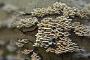 BUITEN BEELD Foto: 415976
