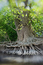 BUITEN BEELD Foto: 416013