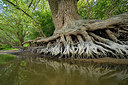 BUITEN BEELD Foto: 416026