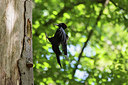 BUITEN BEELD Foto: 416164