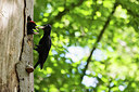 BUITEN BEELD Foto: 416166