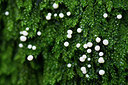 BUITEN BEELD Foto: 417180