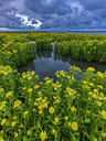 BUITEN BEELD Foto: 417272