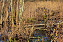 BUITEN BEELD Foto: 417392