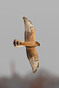 BUITEN BEELD Foto: 417450