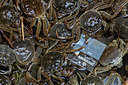 BUITEN BEELD Foto: 417456