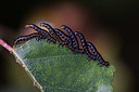 BUITEN BEELD Foto: 417626