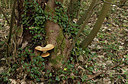 BUITEN BEELD Foto: 417705