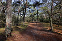 BUITEN BEELD Foto: 417984