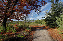 BUITEN BEELD Foto: 418014