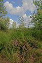 BUITEN BEELD Foto: 418027