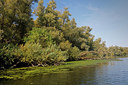 BUITEN BEELD Foto: 418060