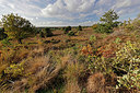 BUITEN BEELD Foto: 418081