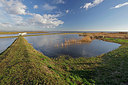 BUITEN BEELD Foto: 418092
