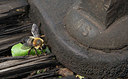 BUITEN BEELD Foto: 418683