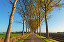 BUITEN BEELD Foto: 418829