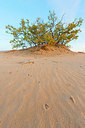 BUITEN BEELD Foto: 418832