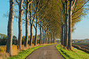 BUITEN BEELD Foto: 418844