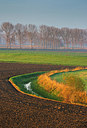 BUITEN BEELD Foto: 418854
