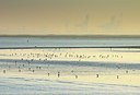BUITEN BEELD Foto: 418869